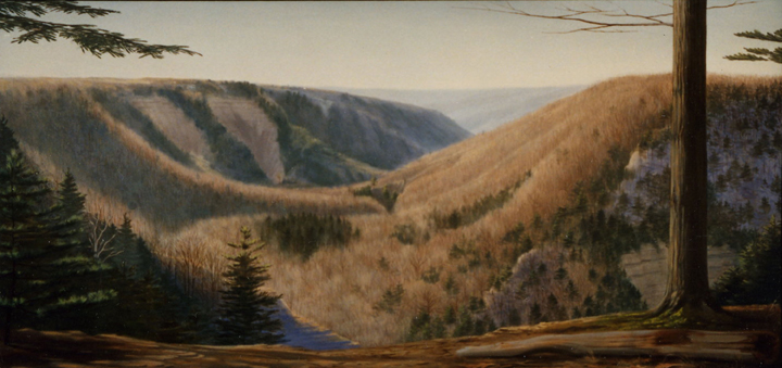 L1.18 - Chautauqua gorge, NY